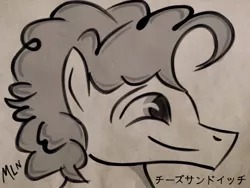 Size: 2048x1536 | Tagged: safe, artist:mylittleninja, derpibooru import, cheese sandwich, pony, pinkie pride, ink, japanese, kanji, katakana, male, monochrome, profile, solo, stallion, weird al yankovic