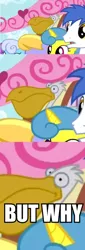 Size: 328x960 | Tagged: brolly, but why, cloud kicker, derpibooru import, image macro, lemon hearts, linky, pelican, pinkie pride, safe, shoeshine, whitewash