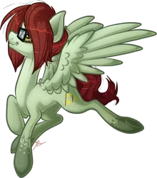 Size: 542x615 | Tagged: safe, artist:ruaniamh, derpibooru import, oc, unofficial characters only, pegasus, pony, ponysa, solo