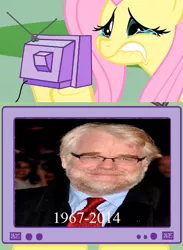 Size: 438x600 | Tagged: derpibooru import, exploitable meme, fluttercry, fluttershy, implied death, meme, meta, obligatory pony, philip seymour hoffman, safe, tv meme