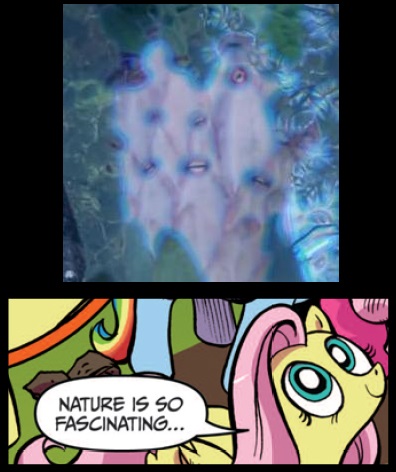 Size: 396x472 | Tagged: derpibooru import, exploitable meme, fluttershy, fruit people, idw, kamen rider, kamen rider gaim, meme, nature is so fascinating, obligatory pony, safe