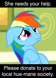 Size: 540x744 | Tagged: artist:mokona, derpibooru import, edit, edited screencap, floppy ears, hue, nose wrinkle, parody, pouty lips, pun, rainbow dash, read it and weep, safe, screencap, solo