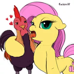 Size: 600x602 | Tagged: suggestive, artist:caboni32, derpibooru import, fluttershy, pegasus, pony, bedroom eyes, bestiality, cock worship, double entendre, female, floppy ears, flutterzoo, giant cock, heart, innuendo, lewd, licking, mare, pun, rooster, simple background, tongue out, visual pun