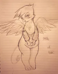 Size: 814x1024 | Tagged: safe, artist:doubt, derpibooru import, gilda, gryphon, chubby, female, grayscale, lined paper, monochrome, solo, traditional art