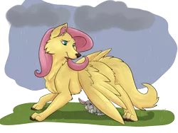 Size: 1600x1200 | Tagged: safe, artist:annakitsun3, derpibooru import, fluttershy, rabbit, wolf, flutterwolf, solo, species swap