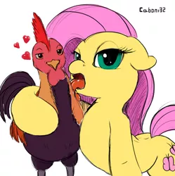 Size: 600x602 | Tagged: animal, artist:caboni32, bestiality, cock worship, double entendre, fluttershy, flutterzoo, giant cock, innuendo, licking, pun, rooster, suggestive, visual pun