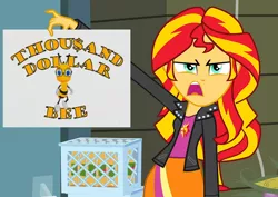 Size: 1016x720 | Tagged: safe, derpibooru import, sunset shimmer, equestria girls, exploitable meme, game show, meme, solo, sunset is disgusted, thousand dollar bee
