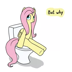 Size: 1000x1000 | Tagged: artist:marindashy, but why, derpibooru import, fluttershy, safe, solo, toilet