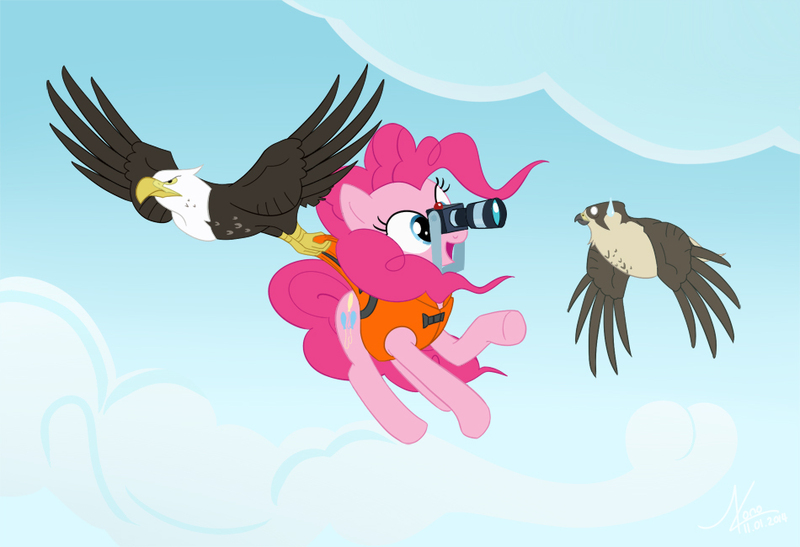 Size: 950x650 | Tagged: artist:valinhya, bald eagle, camera, derpibooru import, eagle, flying, lifejacket, peregrine falcon, pinkie pie, safe, that friggen eagle