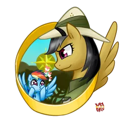 Size: 1000x1000 | Tagged: safe, artist:norang94, derpibooru import, daring do, rainbow dash, compass rose, heart, palindrome get, so awesome, wingding eyes