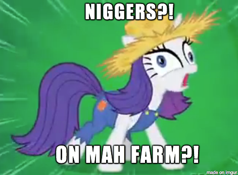 Size: 471x346 | Tagged: safe, banned from derpibooru, deleted from derpibooru, derpibooru import, edit, edited screencap, screencap, rarity, pony, unicorn, simple ways, caption, female, hat, image, image macro, mare, nigger, niggers, out of character, png, racism, racisty, rarihick, rarity is a racist bitch, solo, straw hat, text, vulgar, x in my y