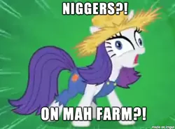 Size: 471x346 | Tagged: safe, deleted from derpibooru, derpibooru import, edit, edited screencap, screencap, rarity, pony, unicorn, simple ways, caption, female, hat, image macro, mare, nigger, niggers, out of character, racism, racisty, rarihick, rarity is a racist bitch, solo, straw hat, vulgar, x in my y