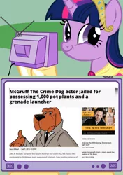 Size: 562x798 | Tagged: safe, derpibooru import, twilight sparkle, twilight sparkle (alicorn), alicorn, pony, exploitable meme, female, irony, mare, mcgruff the crime dog, meme, news, obligatory pony, tv meme, twiface