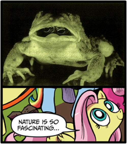 Size: 500x566 | Tagged: deformed, derpibooru import, exploitable meme, meme, nature is so fascinating, obligatory pony, safe, toad