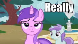 Size: 863x486 | Tagged: safe, derpibooru import, edit, edited screencap, screencap, amethyst star, liza doolots, petunia, tootsie flute, pony, unicorn, amethyst star is not amused, background pony, female, filly, fountain, image macro, impact font, looking at you, mare, reaction image, unimpressed