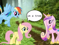 Size: 651x500 | Tagged: artist needed, derpibooru import, fluttershy, fluttertree, ponies in the forest, princess cadance, rainbow dash, safe, tree