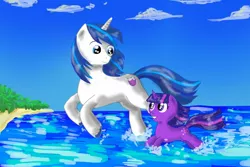 Size: 1286x858 | Tagged: safe, artist:darkcrazyd, derpibooru import, shining armor, twilight sparkle, beach, filly, ocean