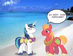 Size: 651x500 | Tagged: safe, derpibooru import, big macintosh, shining armor, earth pony, pony, beach, lemonade, male, ocean, ponies in places, ponies in the forest, sand, stallion