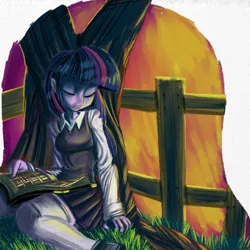 Size: 1024x1024 | Tagged: dead source, safe, artist:fauxsquared, derpibooru import, twilight sparkle, equestria girls, book, sleeping, solo