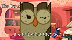 Size: 1280x720 | Tagged: caption, derpibooru import, image macro, meme, owl, owlowiscious, quote, safe, solo, text, twin peaks