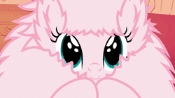Size: 854x480 | Tagged: safe, artist:mixermike622, derpibooru import, oc, oc:fluffle puff, unofficial characters only, pony, animated, clapping, cute, flufflebetes, smiling, solo