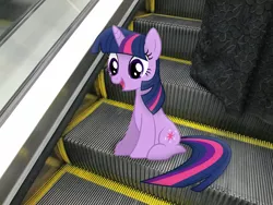 Size: 4608x3456 | Tagged: artist:missbeigepony, derpibooru import, escalator, irl, photo, ponies in real life, safe, solo, twilight sparkle
