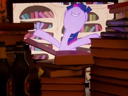 Size: 1280x960 | Tagged: safe, derpibooru import, twilight sparkle, twilight sparkle (alicorn), alicorn, pony, /mlp/, 2014, 4chan, beer, book, computer, female, mare, otaku date, photo, that pony sure does love books, waifu dinner