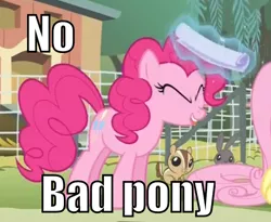 Size: 560x460 | Tagged: bad pony, chipmunk, derpibooru import, filli vanilli, hitting, image macro, meme, pinkie pie, safe, screencap, solo, swatting