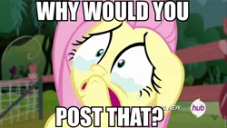 Size: 960x540 | Tagged: safe, derpibooru import, screencap, fluttershy, pegasus, pony, filli vanilli, crying, female, image macro, mare, meme, reaction image, sad, solo, why would you post that