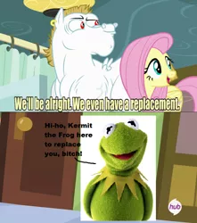 Size: 628x712 | Tagged: safe, derpibooru import, bulk biceps, fluttershy, pegasus, pony, background pony strikes again, dialogue, exploitable meme, kermit the frog, meme, open mouth, replacement meme, smiling, the muppets, vulgar