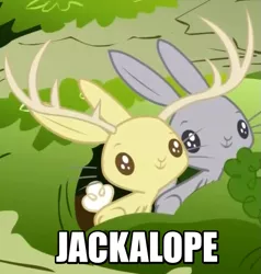 Size: 657x691 | Tagged: animal, burrow, carrot, derpibooru import, duo, filli vanilli, image macro, jackalope, meme, rabbit, safe, screencap