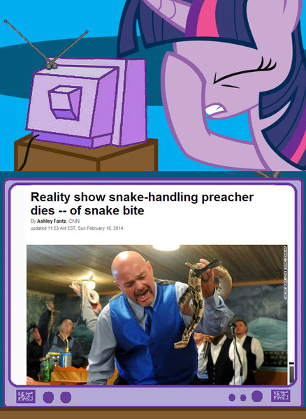 Size: 563x771 | Tagged: derpibooru import, exploitable meme, meme, natural selection, obligatory pony, religion, safe, snake, too dumb to live, tv meme, twilight sparkle