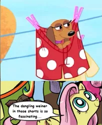 Size: 487x599 | Tagged: boxer briefs, boxers, clothes, clothes line, clothespin, derpibooru import, dog, exploitable meme, fluttershy, meme, nature is so fascinating, obligatory pony, pound puppies, safe, strudel, underwear, visual gag, vulgar