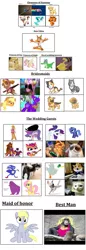 Size: 1712x4992 | Tagged: artist needed, source needed, safe, derpibooru import, boneless, derpy hooves, fluttershy, gummy, princess luna, rarity, bat pony, duck, monkey, pony, crossover, doge, filly, flutterbat, grumpy cat, irl, irl cat, irl dog, littlest pet shop, nyan cat, photo, race swap, sanic, sonic the hedgehog, sonic the hedgehog (series), transformers, woona