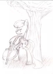 Size: 1114x1538 | Tagged: safe, artist:theskitzogamer, derpibooru import, octavia melody, earth pony, pony, background pony, bipedal, cello, looking away, monochrome, musical instrument, sketch, solo, traditional art, tree, under the tree