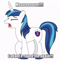 Size: 870x885 | Tagged: semi-grimdark, suggestive, derpibooru import, shining armor, pony, unicorn, caption, image macro, implied rape, implied sex, male, meme, solo, stallion, text edit, whining armor