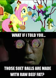 Size: 800x1100 | Tagged: derpibooru import, filli vanilli, fluttershy, image macro, meme, morpheus, parody, safe, the matrix, what if i told you