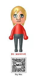 Size: 320x650 | Tagged: safe, derpibooru import, big macintosh, human, 3ds, humanized, male, mii, nintendo, qr code, solo, wii u