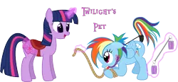 Size: 887x411 | Tagged: suggestive, artist:nightmaremoons, derpibooru import, rainbow dash, twilight sparkle, pegasus, pony, unicorn, alternate hairstyle, ballgag, bondage, dashsub, female, femsub, gag, image, lesbian, png, rope, saddle, shipping, show accurate, show accurate porn, spreader bar, submissive, tumblr, twidash