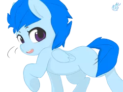 Size: 6700x5000 | Tagged: safe, artist:meetbun, derpibooru import, oc, oc:blue flame, unofficial characters only, pegasus, pony, absurd resolution, blank flank, solo