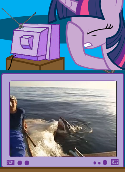 Size: 563x771 | Tagged: carcass, derpibooru import, exploitable meme, facehoof, great white shark, meme, natural selection, obligatory pony, safe, science, shark, stupidity, tv meme, twilight sparkle, whale, youtube link