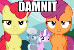Size: 768x522 | Tagged: safe, derpibooru import, edit, edited screencap, screencap, apple bloom, diamond tiara, scootaloo, silver spoon, earth pony, pegasus, pony, twilight time, caption, cutie mark crusaders, damnit, female, filly, frown, image macro, lidded eyes, looking at you, looking up, meme, open mouth, smiling, text, unamused, vulgar, wide eyes