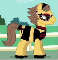 Size: 192x200 | Tagged: derpibooru import, oc, pony creator, rock, safe, solo, stylish, unofficial characters only