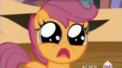 Size: 1014x572 | Tagged: d:, derpibooru import, frown, golden oaks library, hub logo, open mouth, sad, safe, scootaloo, screencap, solo, twilight time