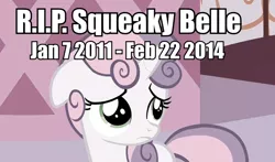 Size: 816x481 | Tagged: drama, drama bait, meta, puberty, reality ensues, rest in peace, sad, safe, solo, squeaky belle, sweetie belle