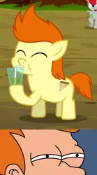 Size: 650x1167 | Tagged: anchovies, background pony, colt, derpibooru import, edit, gallop j. fry, i see what you did there, meme, philip j. fry, safe, screencap, twilight time