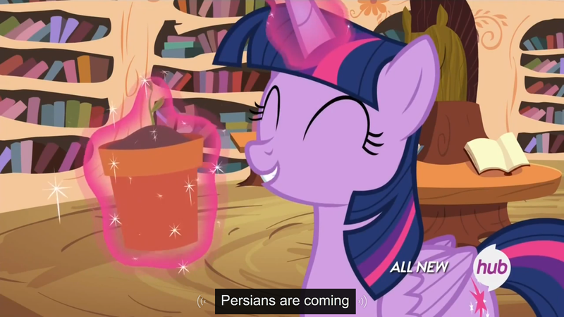 Size: 1440x810 | Tagged: safe, derpibooru import, screencap, twilight sparkle, twilight sparkle (alicorn), alicorn, persian, pony, twilight time, all new, female, flower pot, hub logo, mare, meme, persia, solo, text, youtube caption