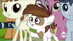 Size: 1023x577 | Tagged: safe, derpibooru import, screencap, dinky hooves, featherweight, first base, pipsqueak, ruby pinch, shady daze, earth pony, pony, twilight time, colt, hub logo, male