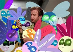 Size: 500x355 | Tagged: crossover, derpibooru import, edit, human, irl, irl human, james t kirk, parasprite, photo, safe, star trek, star trek (tos), tribble, william shatner