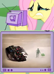 Size: 564x770 | Tagged: derpibooru import, egon spengler, exploitable meme, feels, fluttercry, fluttershy, ghostbusters, harold ramis, i know that feel bro, meme, obligatory pony, proton pack, safe, slimer, tv meme